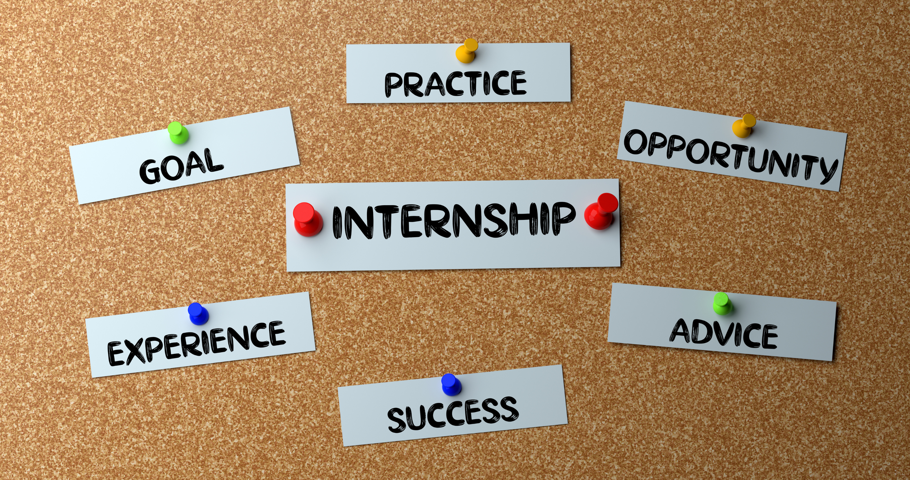 How Internships and Opportunities Strengthen Your College Resume
